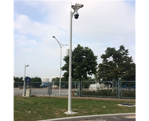 石河子道路监控杆-LB-05