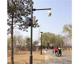 石河子路灯监控杆-LB-03